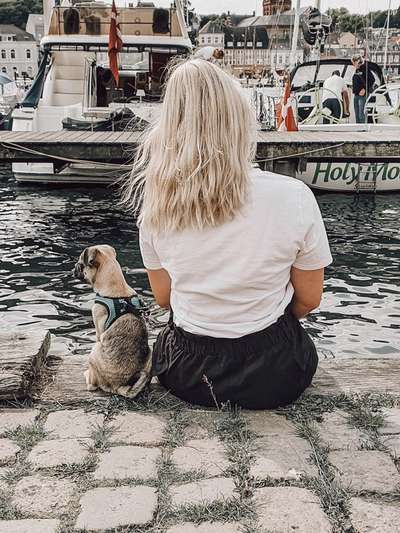 Hundmenschfotos-Beitrag-Bild