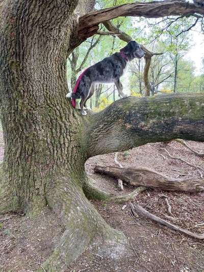 27. Handy Fotochallenge-Beitrag-Bild