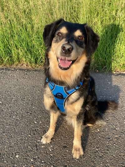 Zeigt eure Portraits-Beitrag-Bild