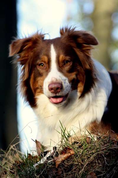 Fotochallange Nr. 57     PORTRÄT.   Beendet!!!!!!!!-Beitrag-Bild