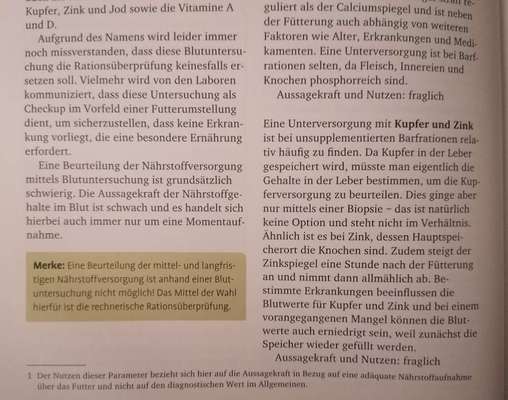 Junghund extrem ruhig-Beitrag-Bild