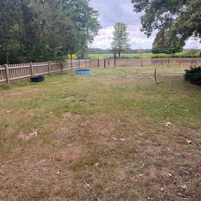 Hundeauslaufgebiet-Hundeauslauf Oerrel-Bild