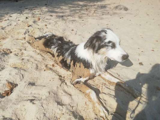 Eure Strandbilder :)-Beitrag-Bild