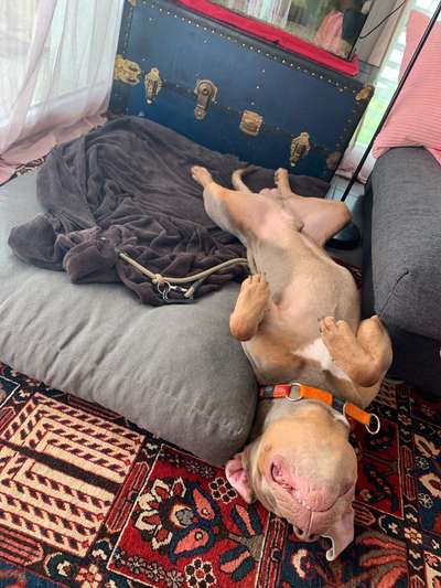 Akut: permanentes Winzeln-Beitrag-Bild