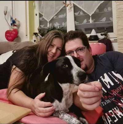 TierschutzhundeStammtisch🐕-Beitrag-Bild