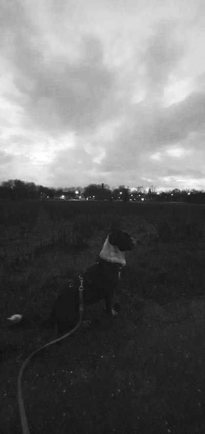 Ton in Ton-Beitrag-Bild