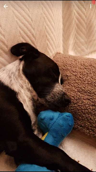 Foto Challenge Nr. 134-Beitrag-Bild