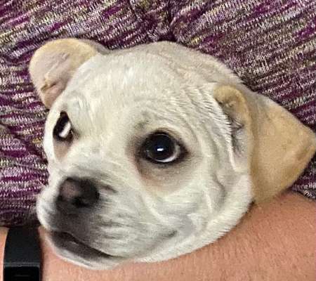 Fotochallange Nr. 6 Die irrsten Blicke-Beitrag-Bild