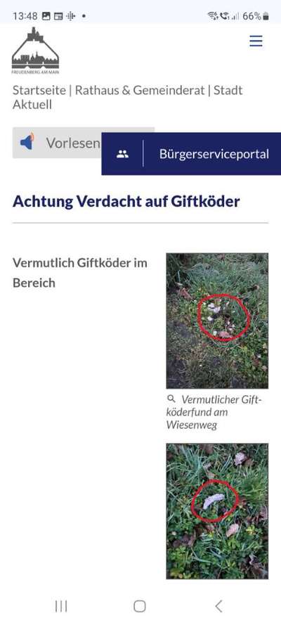 Giftköder-Giftköder-Bild