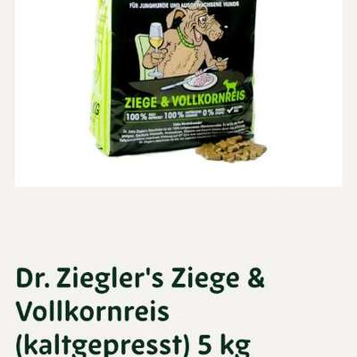 Suchen verzweifelt Hundefutter-Beitrag-Bild