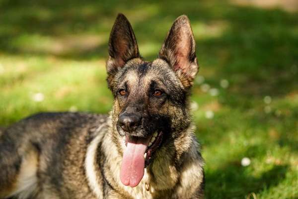 Zeigt eure Portraits-Beitrag-Bild