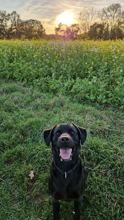 18. Farben Fotochallenge: Sonnenuntergang-Beitrag-Bild