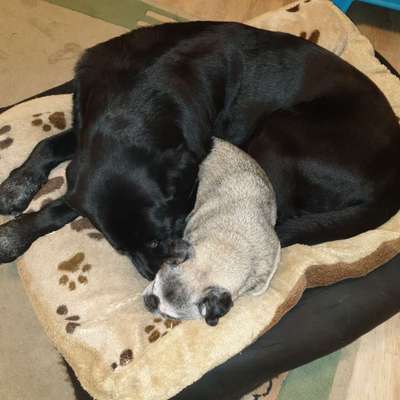 Fotochallenge Nr. 62 Romantische Momente-Beitrag-Bild