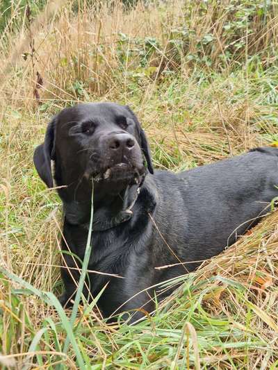 20. Handy -Foto-Callenge-Beitrag-Bild