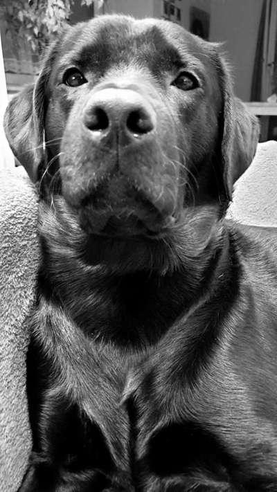 Foto-Challenge 76: Foto in Schwarz-Weiss-Beitrag-Bild