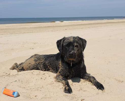 Fotochallenge Nr. 94 It's summer time-Beitrag-Bild