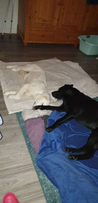 FOTO-Challenge  NR. 91: Die pure Entspannung-Beitrag-Bild