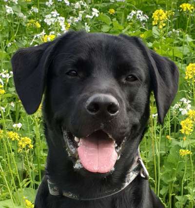 Fotochallange Nr. 57     PORTRÄT.   Beendet!!!!!!!!-Beitrag-Bild