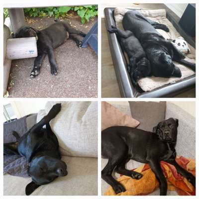 42. Collage Challenge - Ruheplatz-Beitrag-Bild