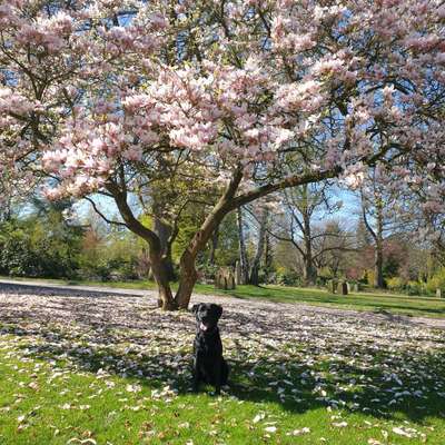 Handy-Foto-Challange Nr.9-Beitrag-Bild