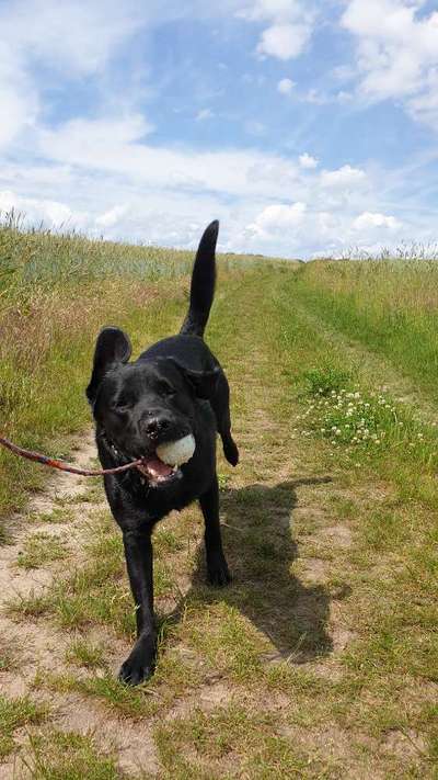 Fotochallenge Nr.105  Glücksmomente-Beitrag-Bild