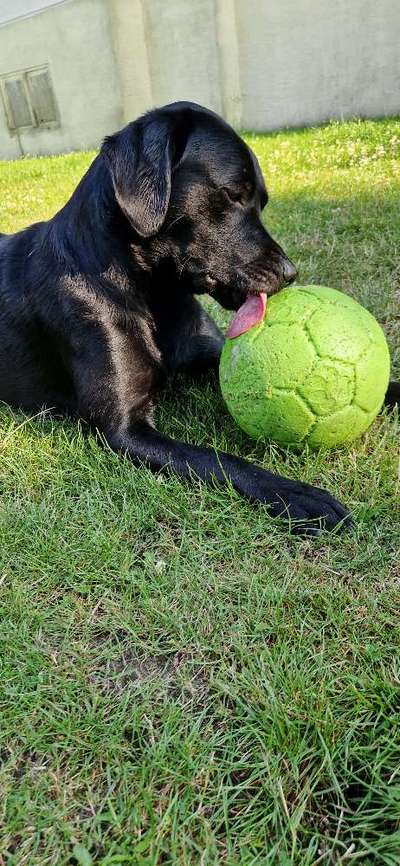 19. Farben  Fottochallenge :
Lieblingsfarbe-Beitrag-Bild