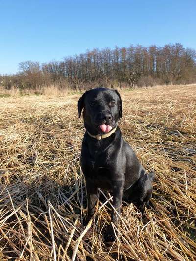 12. Farben Foto Challenge --- Braun-Beitrag-Bild