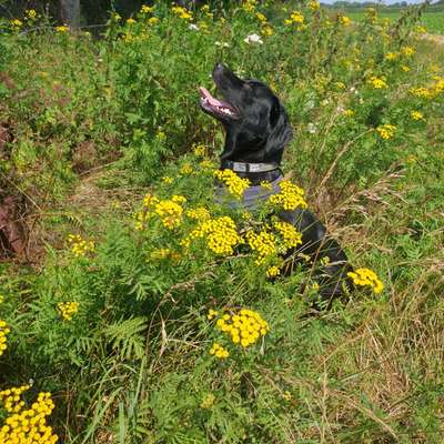 FOTOCHALLENGE 86-Beitrag-Bild