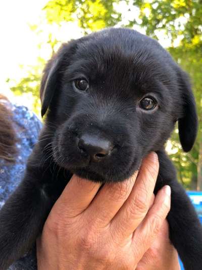 Erstes Bild-Beitrag-Bild