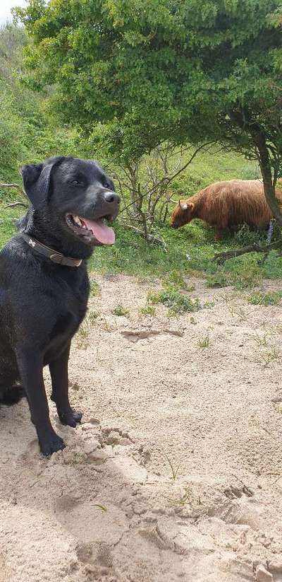 Fotochallenge 87: Im Park-Beitrag-Bild