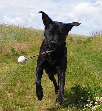 138. Fotochallenge 

(M)Ein Ball und ich-Beitrag-Bild