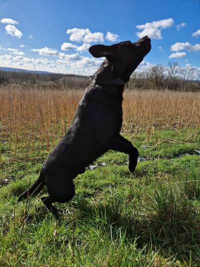 60. Handy Fotochallenge  -gleich schnapp ich es--Beitrag-Bild