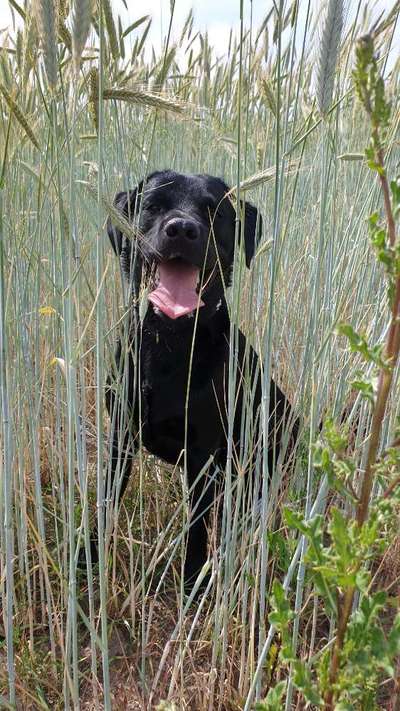 17. Farben Foto Challenge: Pastellfarben-Beitrag-Bild