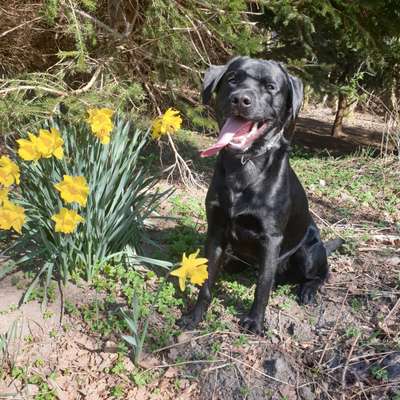 Fotochallenge 78

Es grünt und blüht-Beitrag-Bild