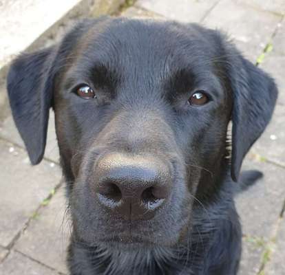 150. Foto Challaenge:  Die Augen, der Spiegel der Seele-Beitrag-Bild