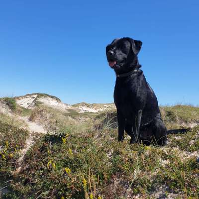 Fotochallenge Nr 107-Beitrag-Bild