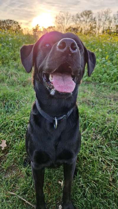 Farben Fotochallenge Sonnenlicht-Beitrag-Bild