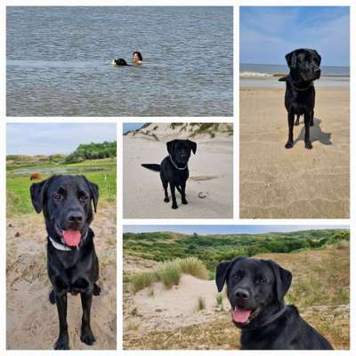 Zeigt eure schönsten Sommerbilder-Beitrag-Bild