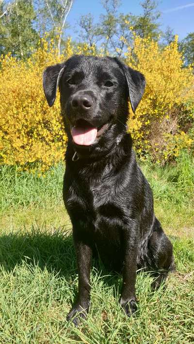 Doppelgänger gesucht !-Beitrag-Bild