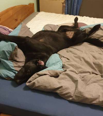 Fotochallenge Nr.65-Beitrag-Bild