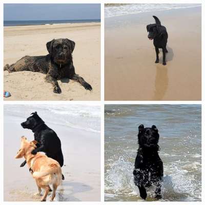 37. Collagen Challenge- Am Strand-Beitrag-Bild