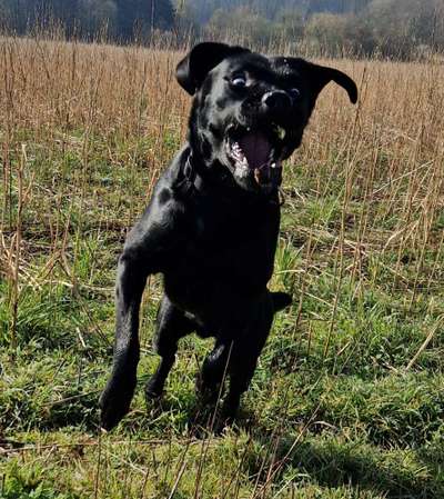 146. Foto Challenge: Maulaufreisser-Beitrag-Bild