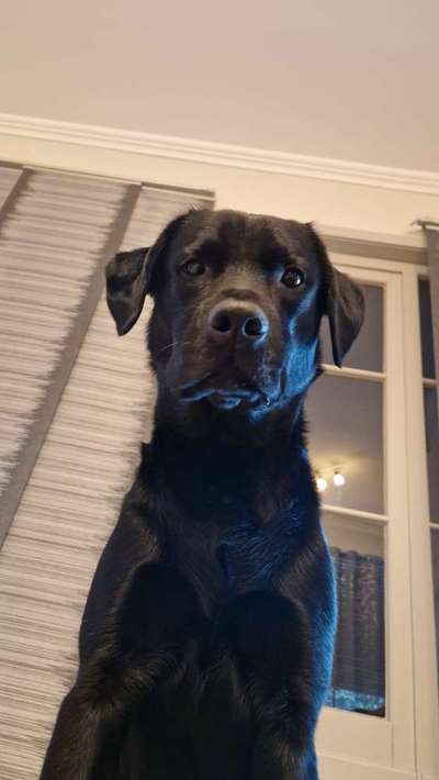 23. Handy Foto-Challenge-Beitrag-Bild