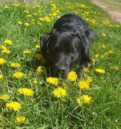 Fotowettbewerb Natur-Beitrag-Bild