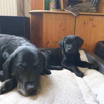 Fotochallange Nummer 5-Beitrag-Bild