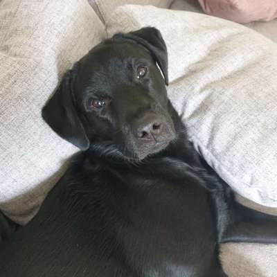 Fotochallenge Nr.89 - Charakter und Wesen-Beitrag-Bild