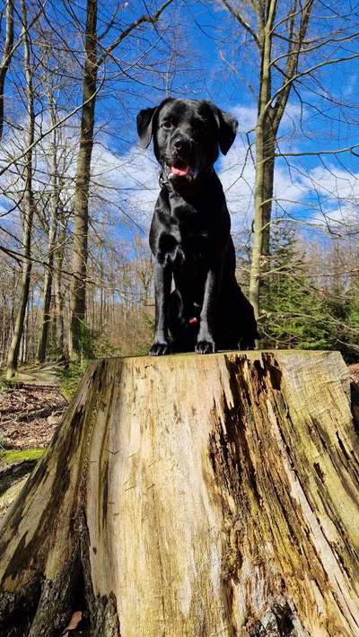 64. Handy Foto Challenge - Hoch hinaus-Beitrag-Bild