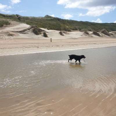 Theos Fotochallange Nummer 4-Beitrag-Bild