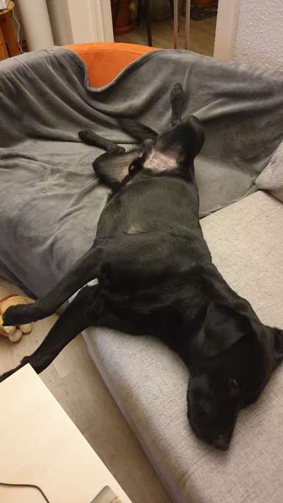 4. Lustiger Schlafplatz-Beitrag-Bild