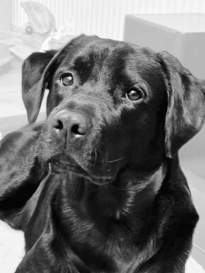 3. Farben/Fotochallenge: Schwarz/Weiß-Beitrag-Bild